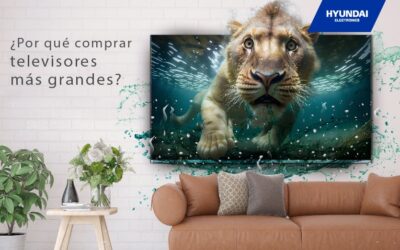 ¿Por qué comprar televisores más grandes?